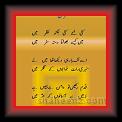 Said waqar afzal 01 * 01.06.2007 * 376 x 746 * (34KB)